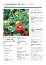 Cavendish-Allotments-Newsletter-Autumn-2014-1.jpg