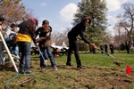 FLOTUS gardening